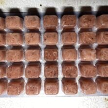 FROZEN Krill Pacifica - 3.5oz Cube Flat