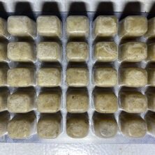 FROZEN Mysis Shrimp - 3.5oz Cube Flat