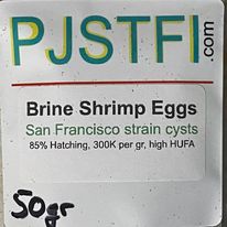 PJS Brine Shrimp Eggs 85% San Franciso Bay Strain