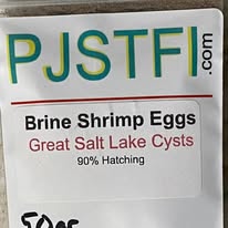 PJS Brine Shrimp Eggs 90% Great Salt Lake strain