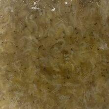 FROZEN Mysis Shrimp -17oz/min Flat