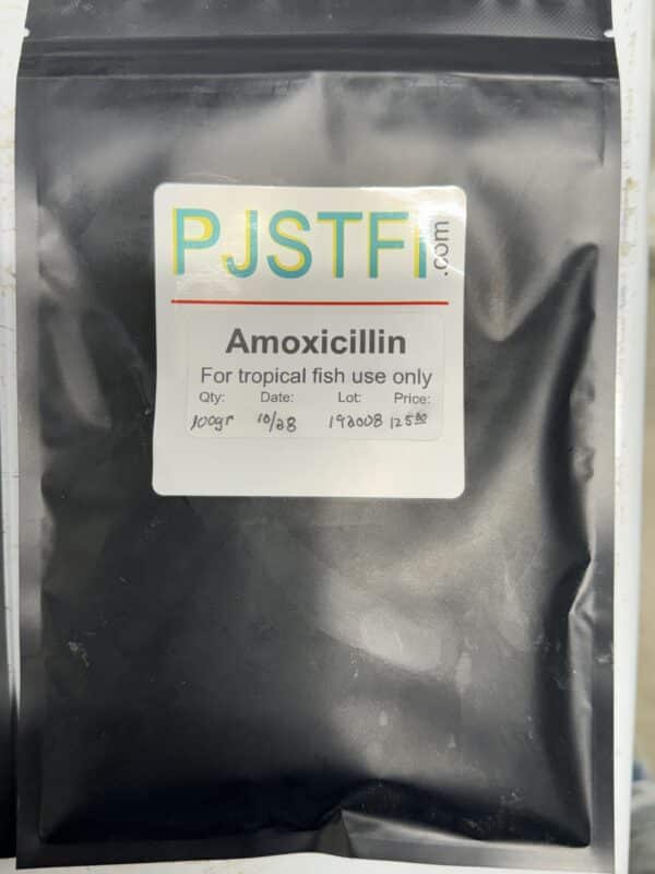 Med Amoxicillin