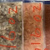 PJS Saltwater Reef Combo #3 -Flats