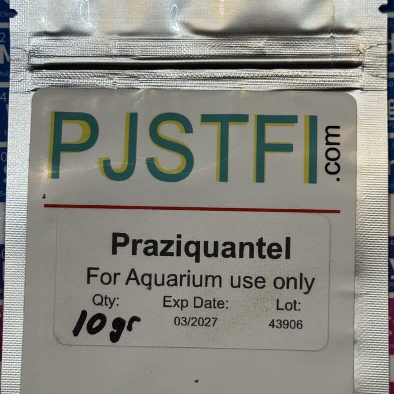 Praziquantel
